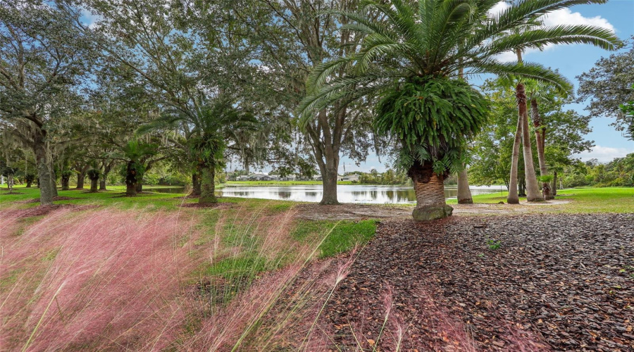 DAVENPORT, Florida 33837, 3 Bedrooms Bedrooms, ,2 BathroomsBathrooms,Residential,For Sale,ROYAL PALM,0,MFRO6255025