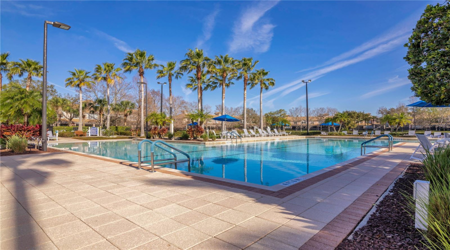 Club House - Resort Style Pool