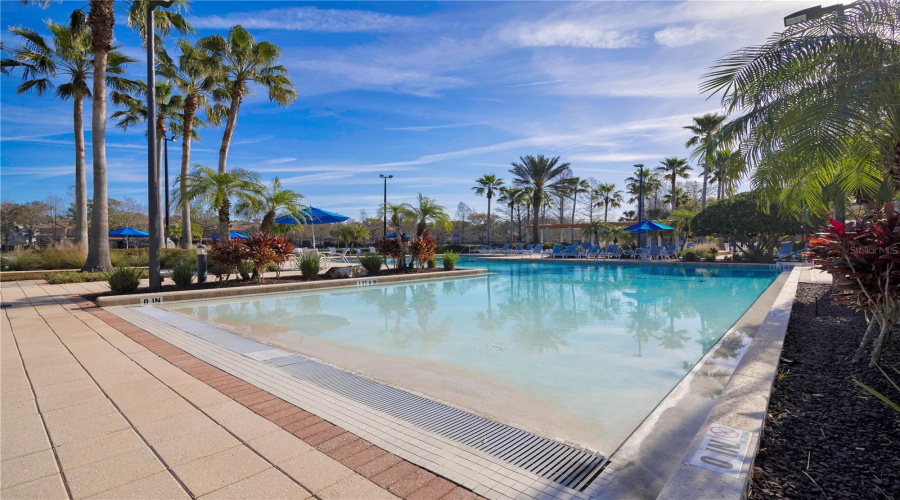 Club House - Resort Style Pool