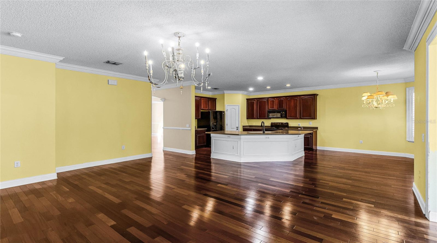 Family room and kitchen