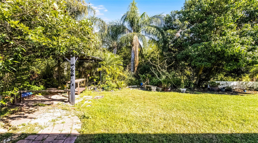 Back yard and conservation area beyond