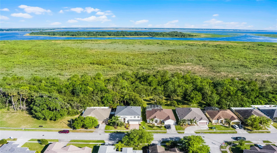 Aerial view of home and conservation area