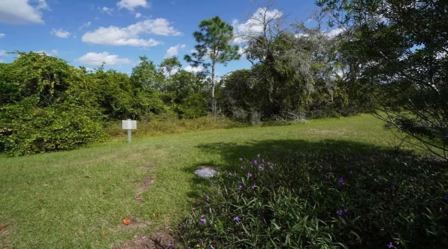 DAVENPORT, Florida 33896, 4 Bedrooms Bedrooms, ,4 BathroomsBathrooms,Residential,For Sale,CAPTIVA,0,MFRS5123537