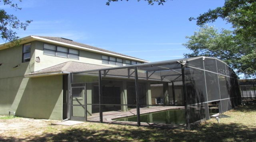 Rear View
