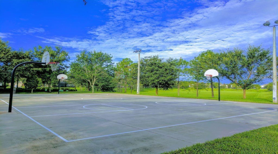 Basketball Courts