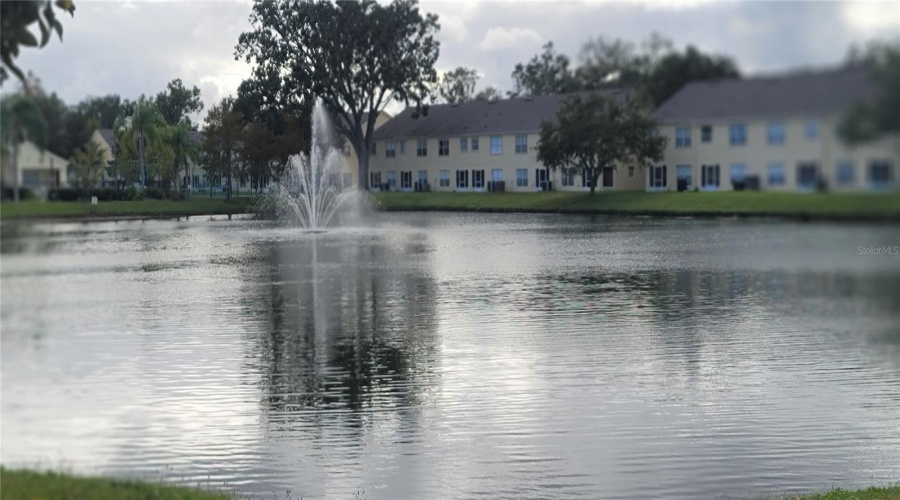 Peaceful pond in the community