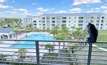 Kissimmee, Florida 34746, 2 Bedrooms Bedrooms, ,2 Bathroomsbathrooms,Residential,For Sale,Paradox,Mfro6298745