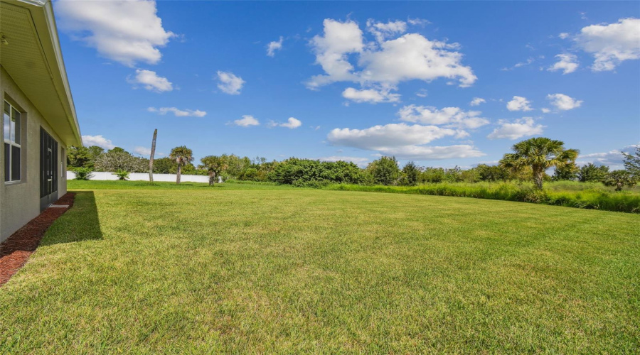 BIG BACKYARD