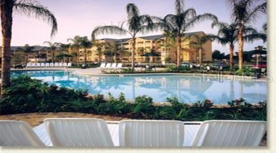 Pool And Patio