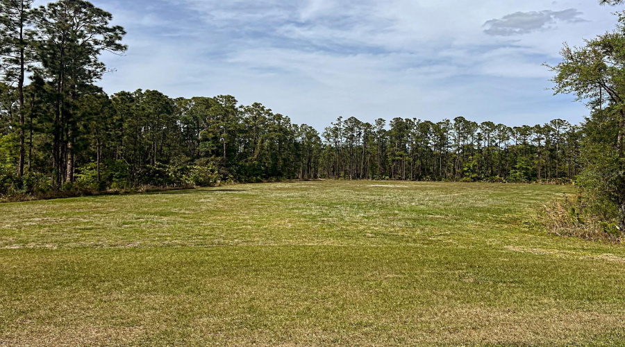 Tranquil view from picnic area