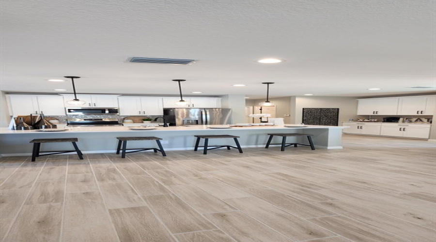 DAVENPORT, Florida 33837, 4 Bedrooms Bedrooms, ,2 BathroomsBathrooms,Residential,For Sale,COOL SUMMER,MFRO6300626