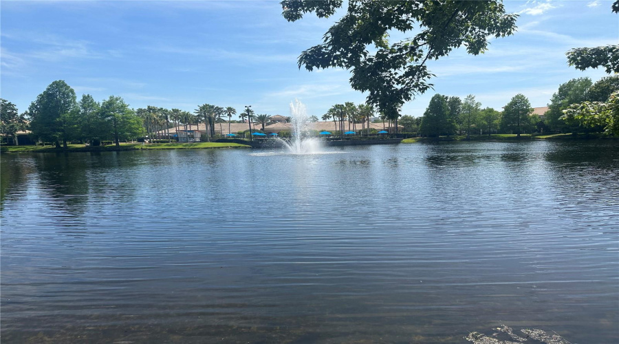 Pond