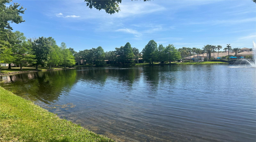 Pond