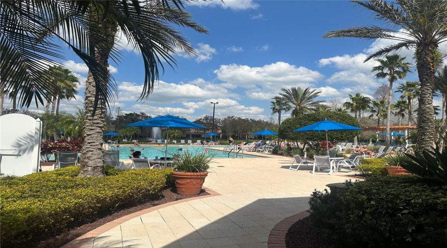Pool Area