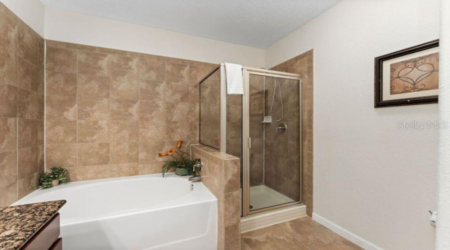 Davenport, Florida 33897, 4 Bedrooms Bedrooms, ,3 Bathroomsbathrooms,Residential,For Sale,Charo,Mfro6302726