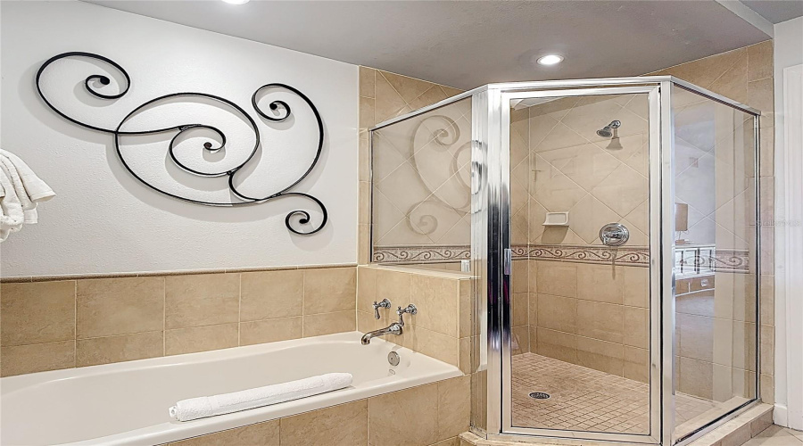 Large shower and garden tub