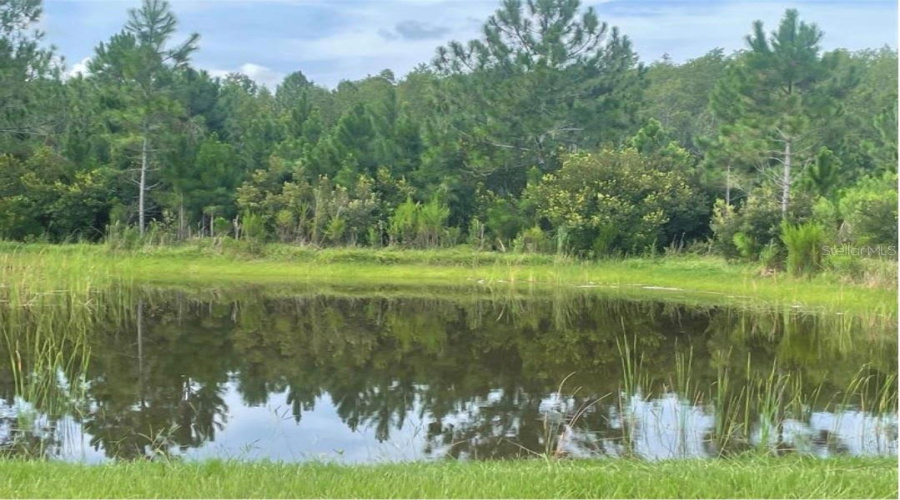 View From Front Yard