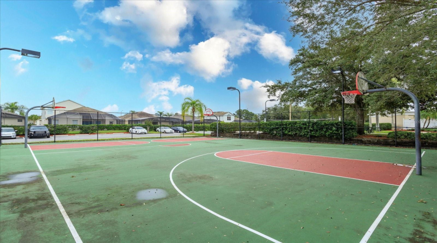 Basket Ball Also Free