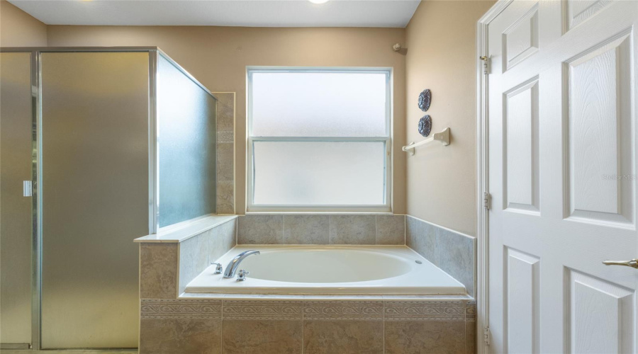 Orlando, Florida 32836, 5 Bedrooms Bedrooms, ,3 Bathroomsbathrooms,Residential,For Sale,Pecky Cypress,Mfro6297818