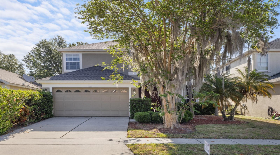 Orlando, Florida 32836, 5 Bedrooms Bedrooms, ,3 Bathroomsbathrooms,Residential,For Sale,Pecky Cypress,Mfro6297818