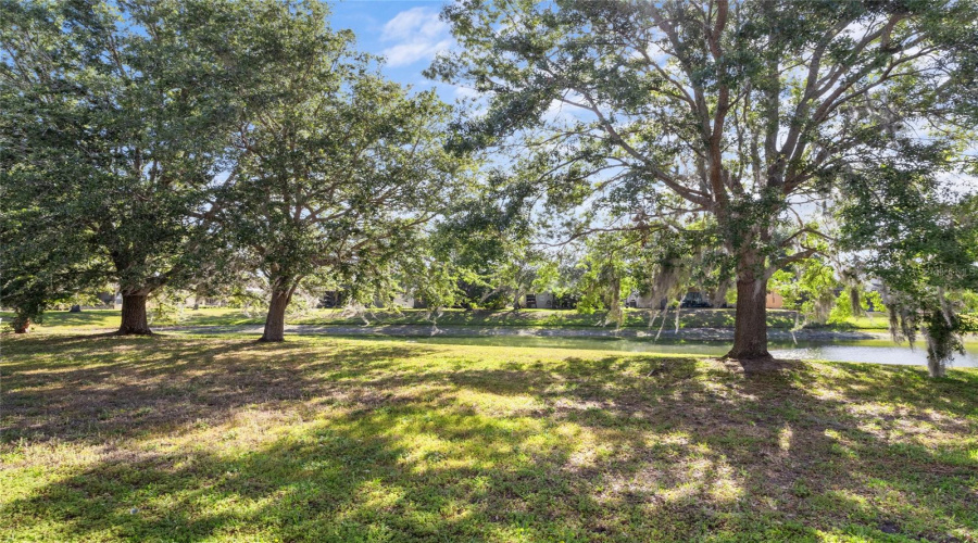 Orlando, Florida 32836, 5 Bedrooms Bedrooms, ,3 Bathroomsbathrooms,Residential,For Sale,Pecky Cypress,Mfro6297818
