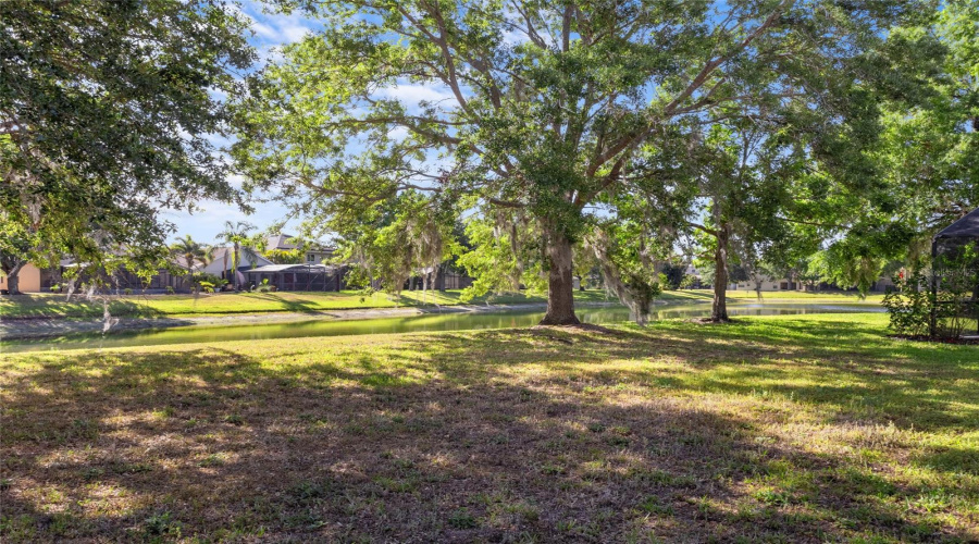 Orlando, Florida 32836, 5 Bedrooms Bedrooms, ,3 Bathroomsbathrooms,Residential,For Sale,Pecky Cypress,Mfro6297818