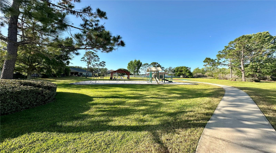 Orlando, Florida 32836, 5 Bedrooms Bedrooms, ,3 Bathroomsbathrooms,Residential,For Sale,Pecky Cypress,Mfro6297818
