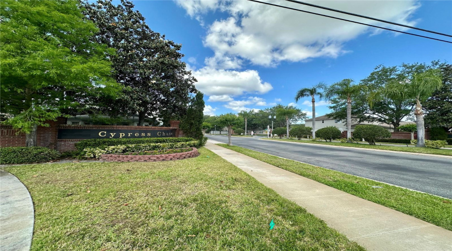Orlando, Florida 32836, 5 Bedrooms Bedrooms, ,3 Bathroomsbathrooms,Residential,For Sale,Pecky Cypress,Mfro6297818
