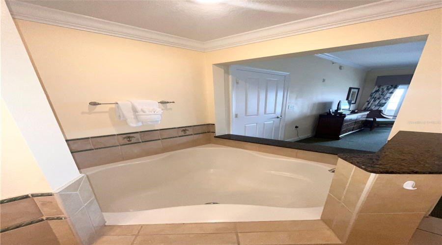 Reunion, Florida 34747, 3 Bedrooms Bedrooms, ,2 Bathroomsbathrooms,Residential,For Sale,Heritage Crossing,Mfrtb8380424