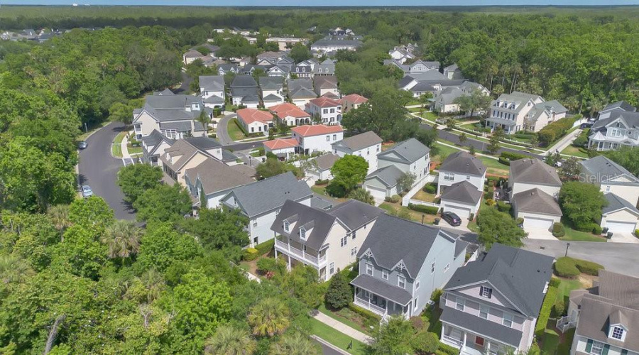 Drone View