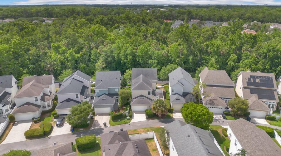 Drone View