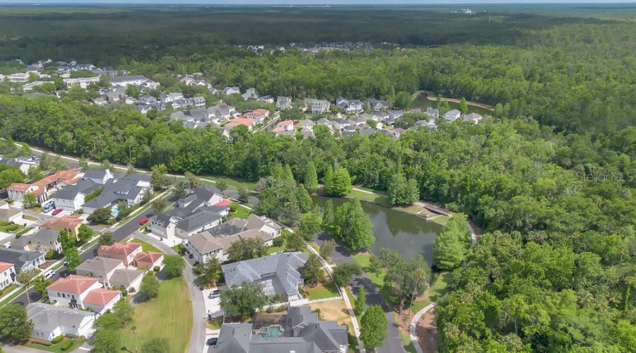 Drone View