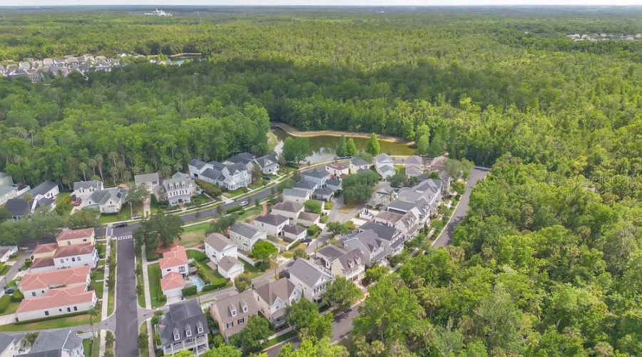 Drone View