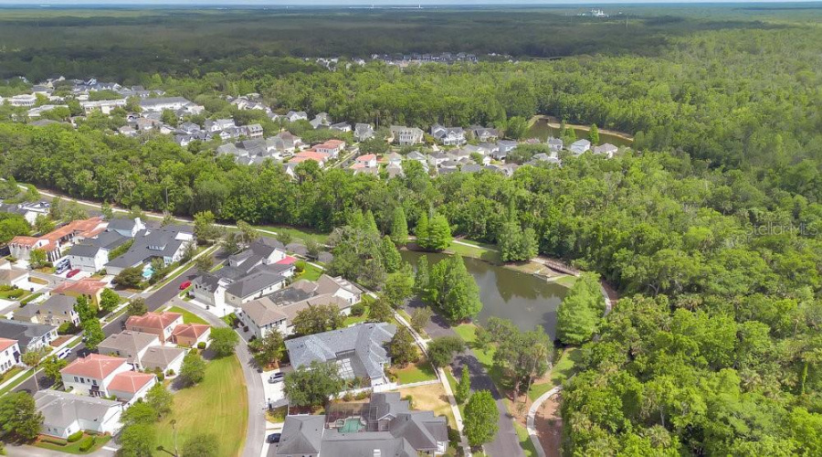 Drone View