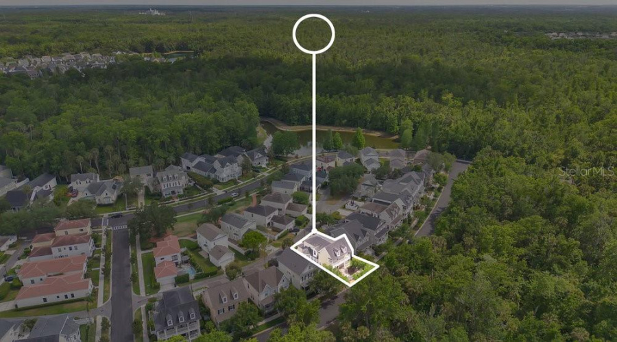 Drone View