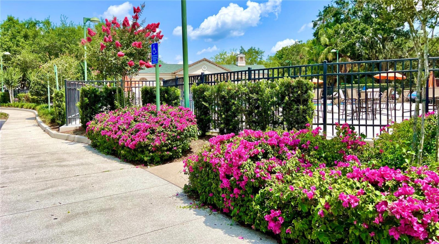 Celebration, Florida 34747, 3 Bedrooms Bedrooms, ,2 Bathroomsbathrooms,Residential,For Sale,Begonia,Mfro6303239