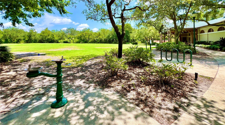 Celebration, Florida 34747, 3 Bedrooms Bedrooms, ,2 Bathroomsbathrooms,Residential,For Sale,Begonia,Mfro6303239