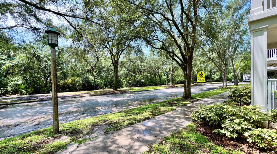 Celebration, Florida 34747, 3 Bedrooms Bedrooms, ,2 Bathroomsbathrooms,Residential,For Sale,Begonia,Mfro6303239