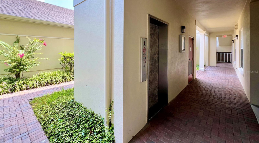 Celebration, Florida 34747, 3 Bedrooms Bedrooms, ,2 Bathroomsbathrooms,Residential,For Sale,Begonia,Mfro6303239