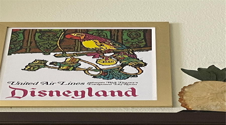 Disney art workabove cabinets in  kitchen