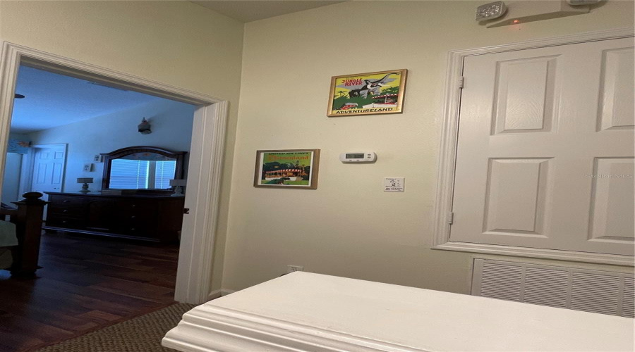 Disney Tiki art work