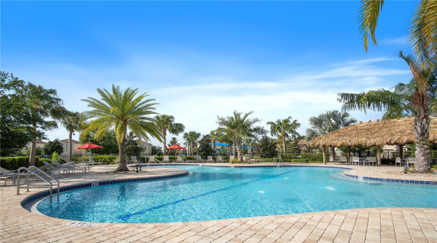 Your Tropical Paradise That You Don't Have To Worry About Cleaning And Caring For It.