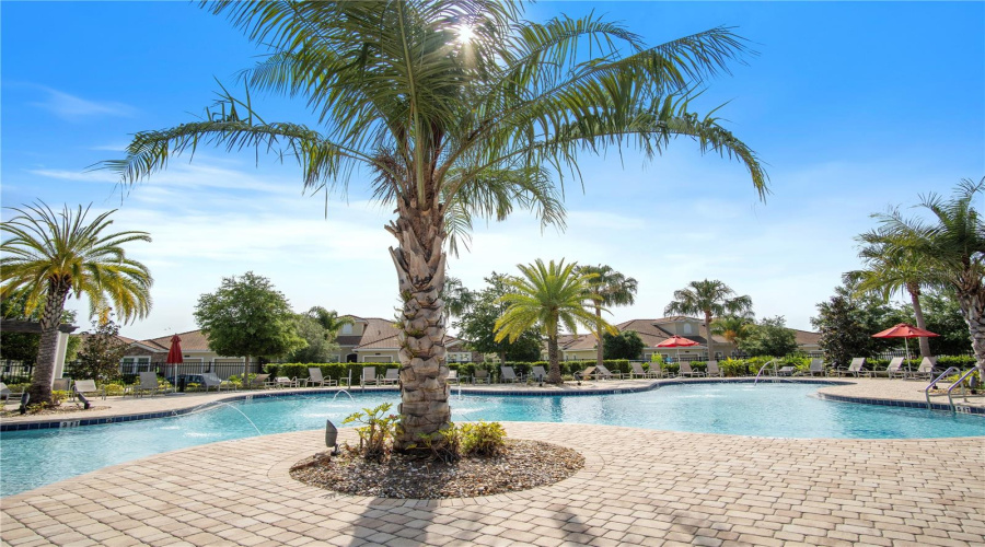 Plenty Of Room For The Community To Hang Out And Enjoy A Sunny Day.