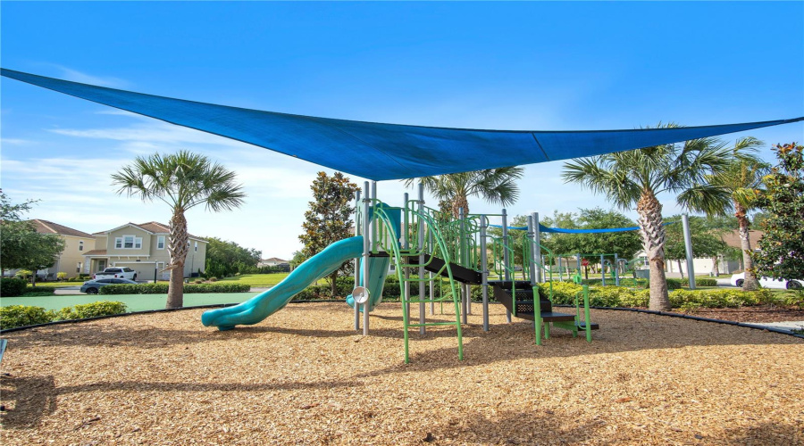 Another View Of The Kids Playground.