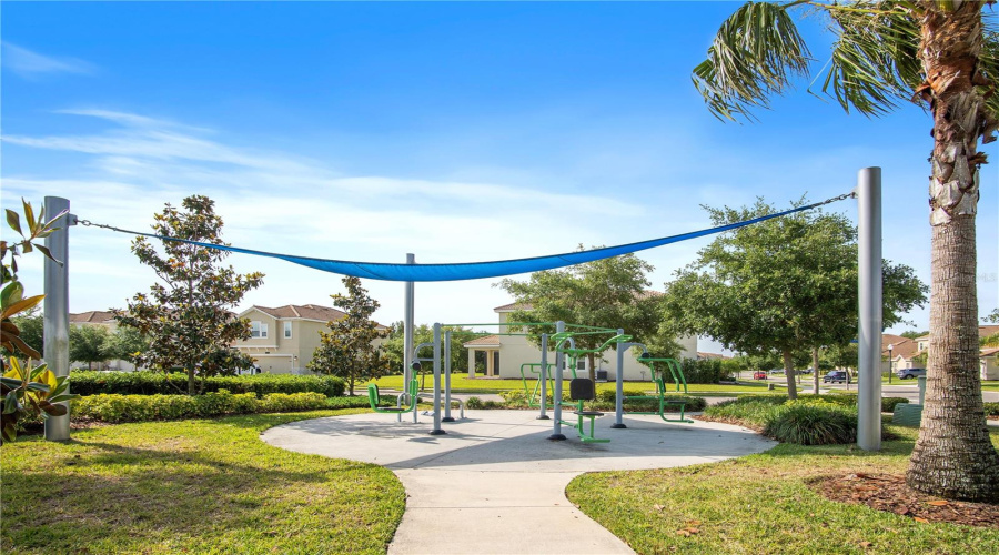 A Playground For Adults...the Outdoor Gym.