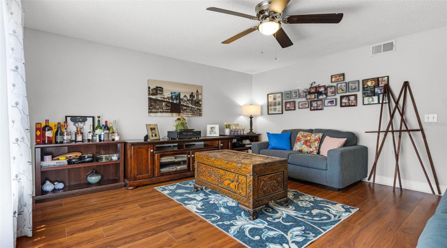 Extra Living Room / Family Room