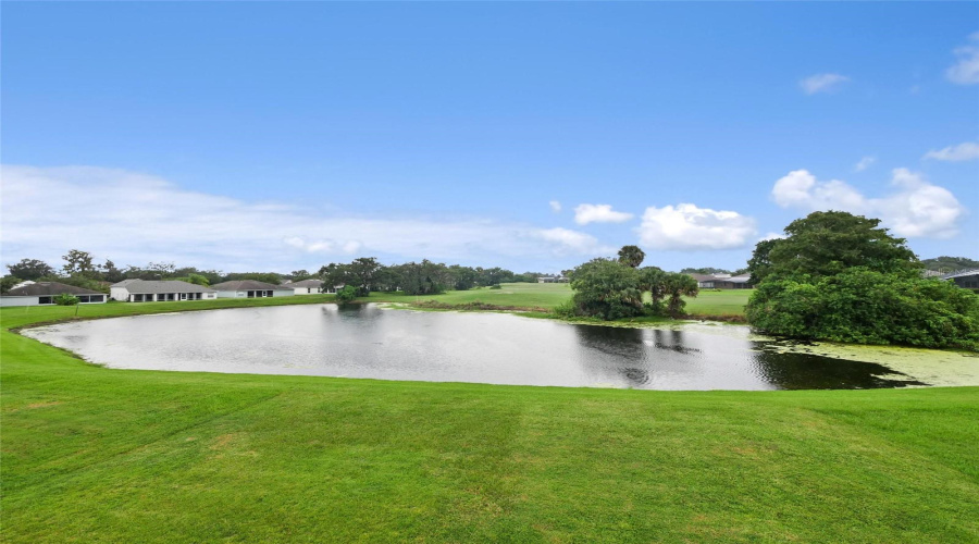View Of Pond