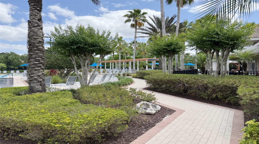 Pool Area