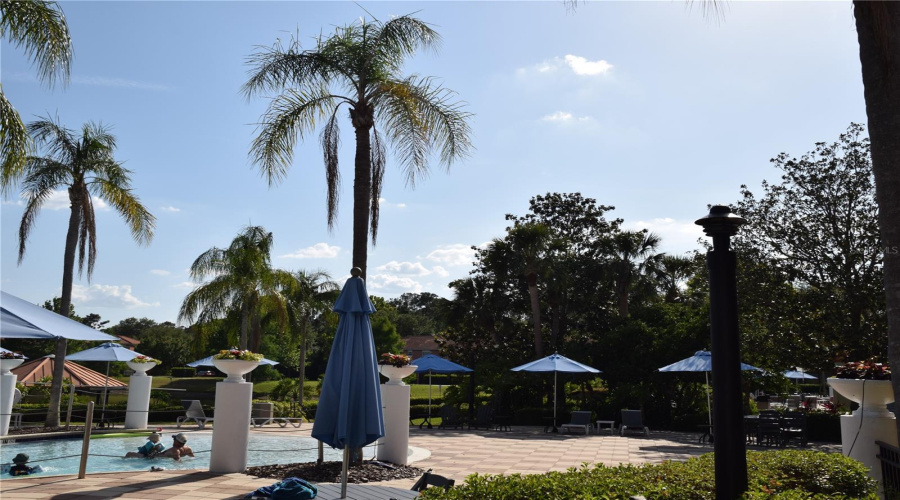 Community Pool