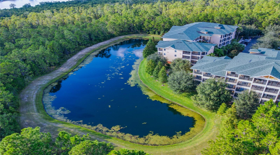 Kissimmee, Florida 34747, 3 Bedrooms Bedrooms, ,2 Bathroomsbathrooms,Residential,For Sale,Treasure Trove,Mfro6304247